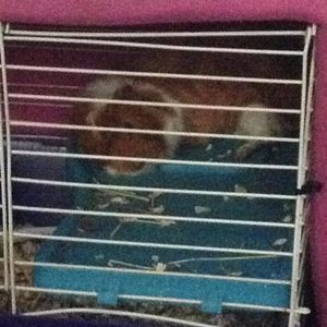 Meet your Posher, Nate